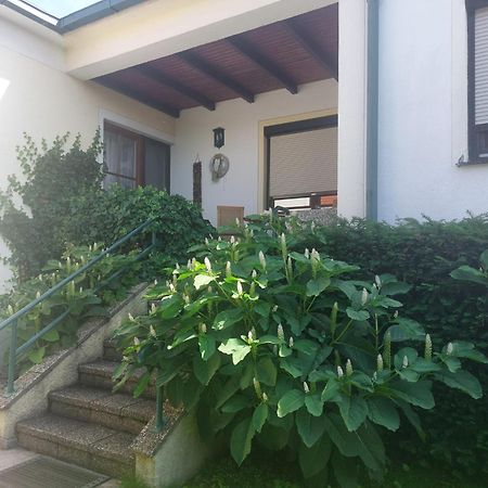 Weingut Apartment Hildegard Gangl Illmitz Εξωτερικό φωτογραφία